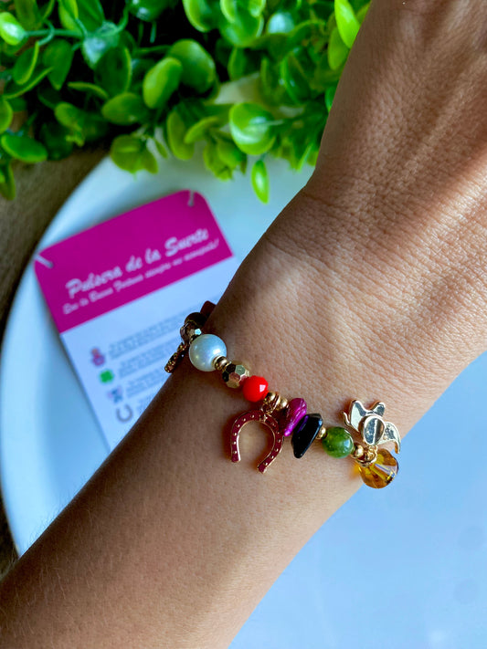 KD090764- Pulsera de la Suerte con Multi dijes de la Buena Fortuna