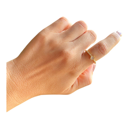 KD020126- Anillo ajustable con detalles de zirconia y madre perla